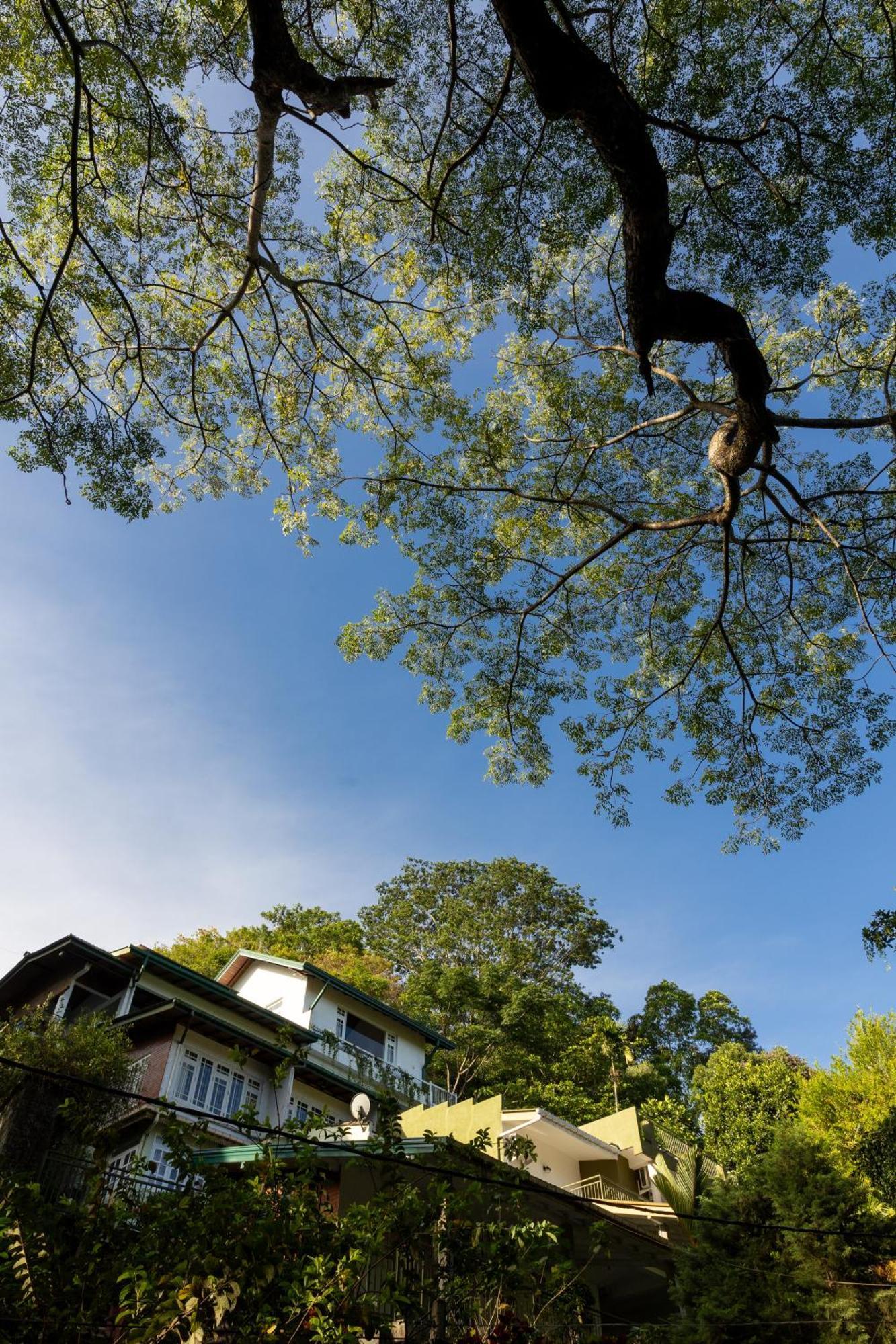 Greenwood Edge Kandy Exteriér fotografie