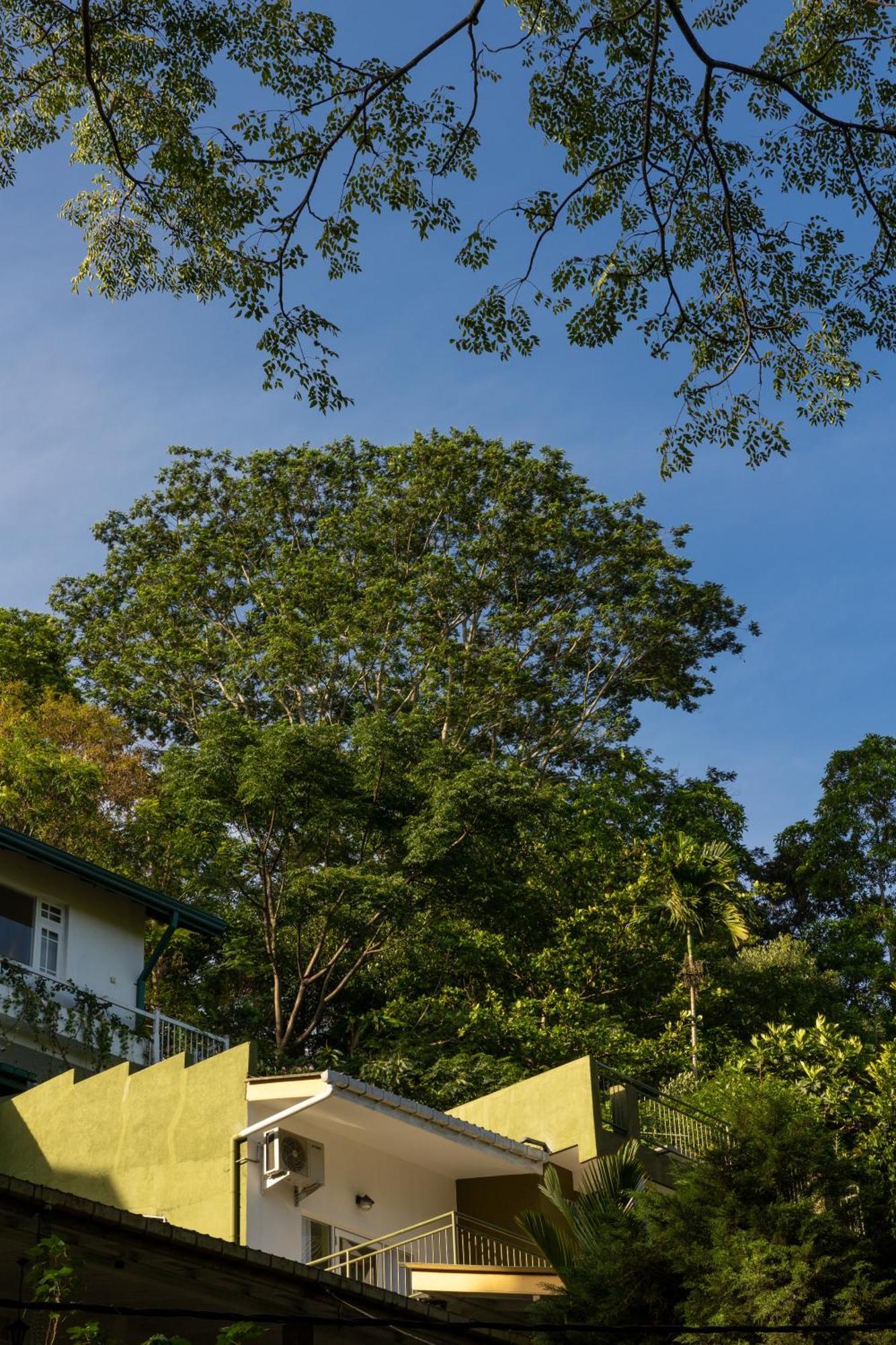 Greenwood Edge Kandy Exteriér fotografie